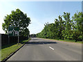 A1066 Thetford Road & Roadsign