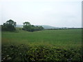 Farmland off Audley Road (B5500)