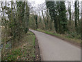 Minor road, Lower Bodham