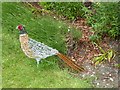 "Cock Pheasant" by Alison Bowyer