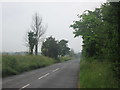 Talbot Avenue towards Brimstage