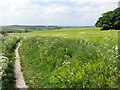 Path to Wharram Percy