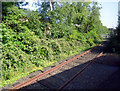 Rosyth Docks railway line