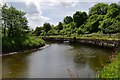 Lostwithiel: The River Fowey