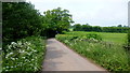 Lane to Llandewi Skirrid