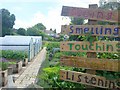 Ross-on-Wye Community Garden, summer 2016, 2