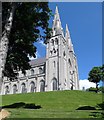 The twin steeples of St Patrick