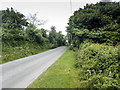 S4153 : Irish minor road by Neville Goodman