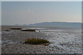 SS6189 : Swansea Bay at low tide by Helen