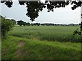 Farmland near White Ladies Farm