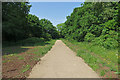 New path, Chobham Meadows