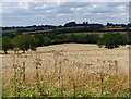 Farmland north of Cublington