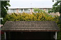 Wooden shingles on bus shelter, Ash Lane, Rustington