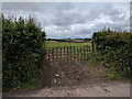 Badger-proof gate