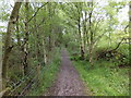 Country Park footpath
