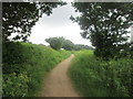 Bridleway towards Neston