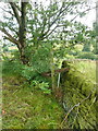 What might be a stile on the Clough Bank Lane bridleway, Sowerby