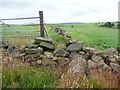 Ruined wall on footpath at Clough Bank Lane, Sowerby