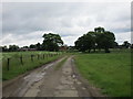 Roadway to Wappenham Lodge Farm