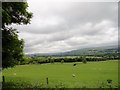 Looking west up Weardale