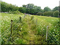 Looking north-northwest along a footpath