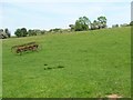 Hillside at Osgoodby Bank