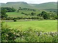 NY7515 : Farmland and fells, north-east of Warcop Station by Christine Johnstone