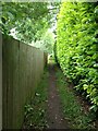 Footpath to Smeeton Westerby