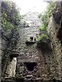 Fireplaces in Castlewigg House