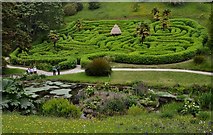 SW7727 : Glendurgan Garden: The Maze by Michael Garlick