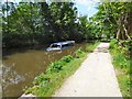 Sunken narrowboat