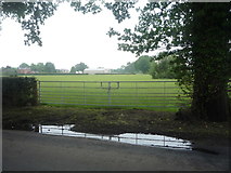 SJ7974 : Field entrance off Chelford Lane by JThomas