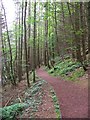 Clyde Walkway north of New Lanark