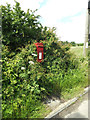 TM0449 : Tollemache Hall Postbox by Geographer