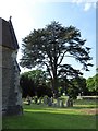 St Paul, Wokingham: churchyard (c)