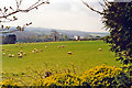 Down Tresilian Valley from Polsue Manor, 1995