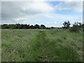 Hanford: path on Primrose Hill