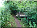 A footbridge over a minor waterway