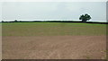 Arable field near Llangenny, 2