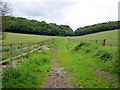 Bridleway towards Blue Close Wood