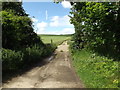 TM0749 : Footpath & entrance to Castle Farm by Geographer