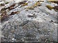 Rivet on rock near Bruairnis, Barra