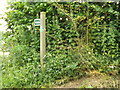 TM0847 : Bridleway sign off Flowton Road by Geographer