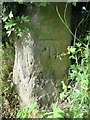 Old bench mark on an old gatepost