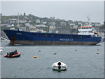 SX1251 : Fowey River with Polruan beyond by Chris Allen