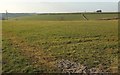 Farmland at Circuit House