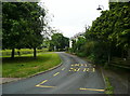 Bus lane, Lilley