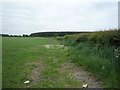 Farmland and hedgerow