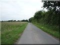 Minor road towards Little Orton