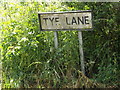 Tye Lane sign